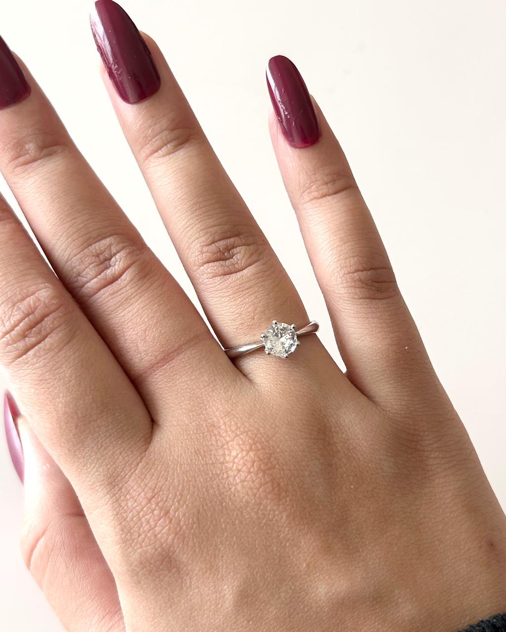 WhatsApp Image 2026-01-20 at 4.22.48 PM